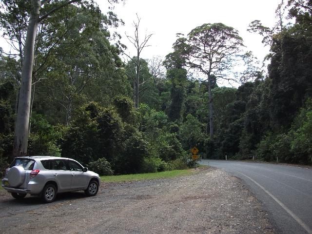 tamworth 013.JPG